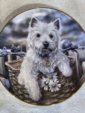 WHITE HIGHLAND TERRIERS Decorative Plate - Danbury Mint Plate No. D8567